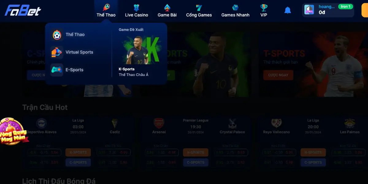 Ưu điểm đặc biệt khi chơi cá cược tại Fabet Sports